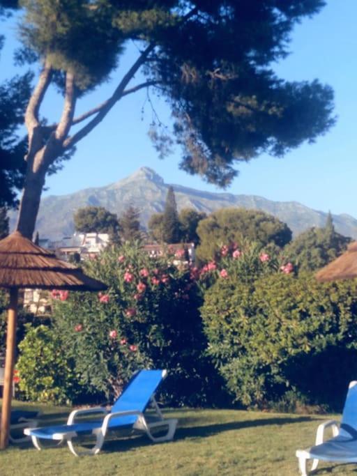Estudio Torre De Andalucia Marbella Exteriör bild