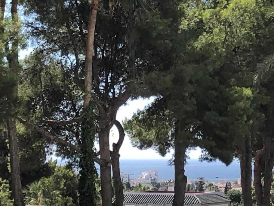 Estudio Torre De Andalucia Marbella Exteriör bild